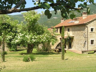 Parco vacanze San Godenzo Registrazione all'aperto 3