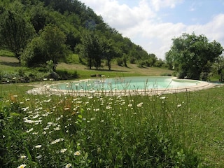 Ferienpark San Godenzo Außenaufnahme 11