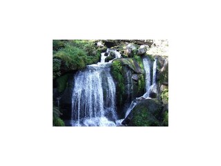 Triberger Wasserfälle