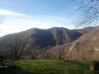 Holiday park San Godenzo Environment 30