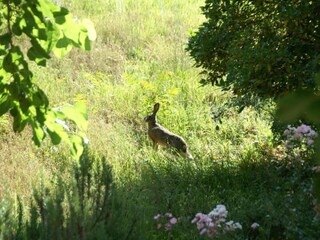 Ferienpark San Godenzo Umgebung 26