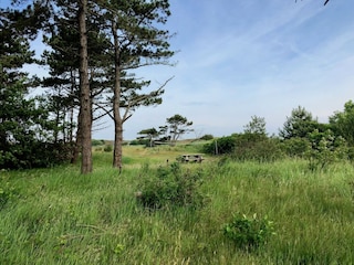 Parc de vacances Den Hoorn  26