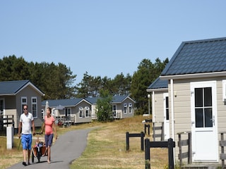 Ferienpark Den Hoorn Umgebung 18