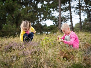 Parc de vacances Den Hoorn Environnement 11