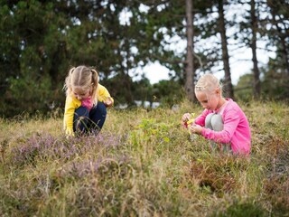Vakantiepark Den Hoorn Omgeving 11