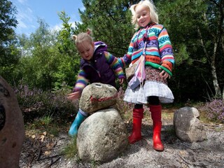 Ferienpark Den Hoorn Umgebung 13