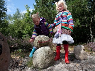 Ferienpark Den Hoorn Umgebung 16
