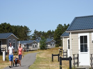 Parc de vacances Den Hoorn Environnement 22