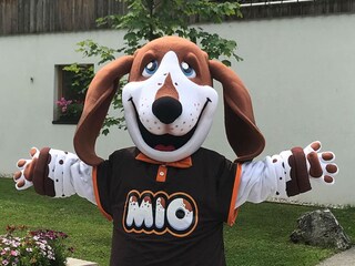 Vakantiepark Maastricht  19