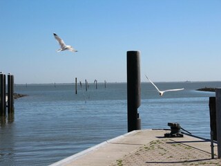 Casa per le vacanze Dornumersiel  12