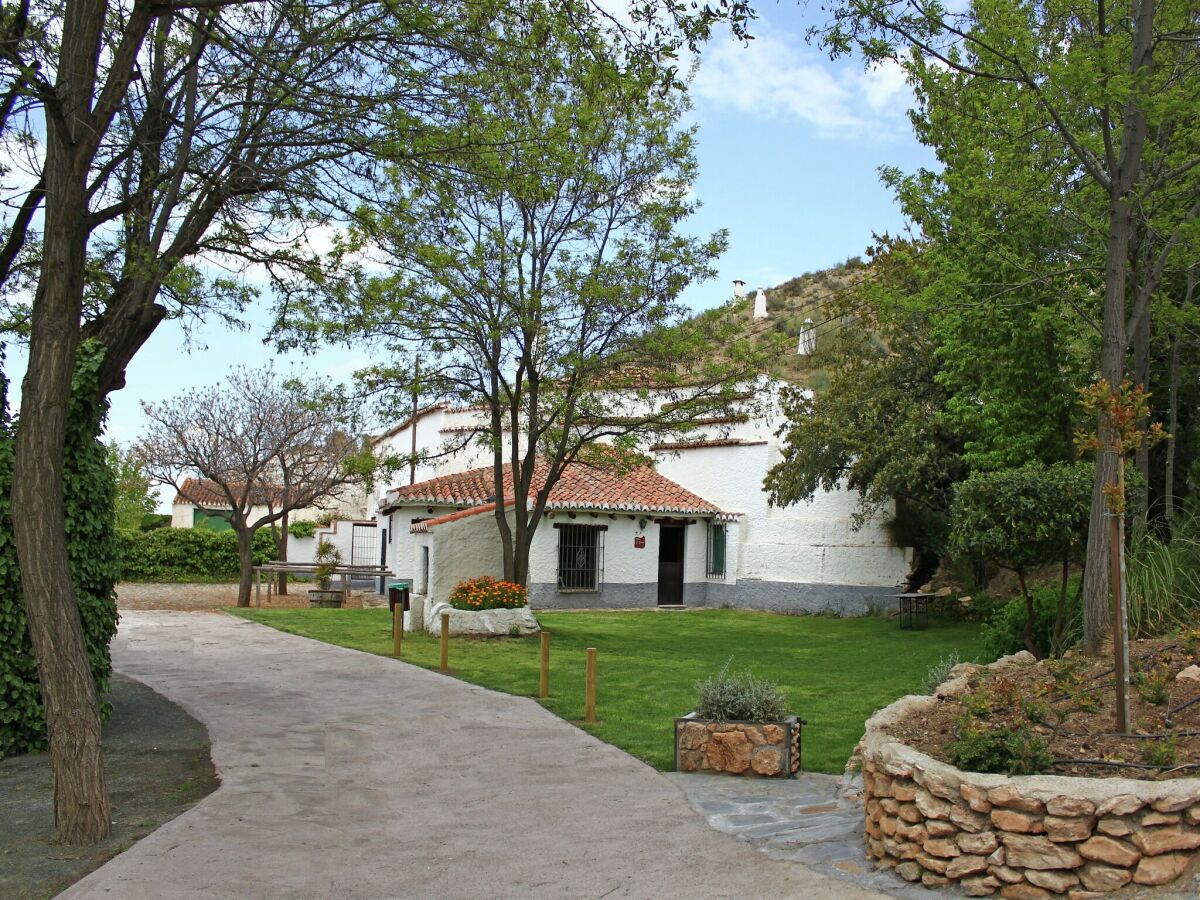 Parque de vacaciones Benalúa Grabación al aire libre 1