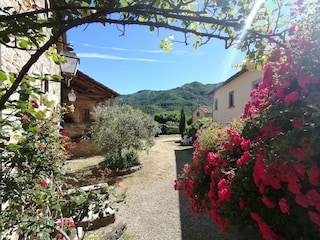 Holiday park San Godenzo Outdoor Recording 9