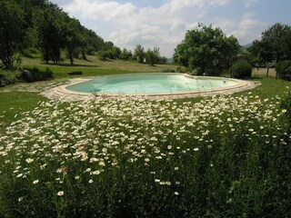 Parque de vacaciones San Godenzo Grabación al aire libre 10