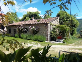 Holiday park San Godenzo Outdoor Recording 12