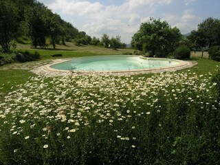 Parc de vacances San Godenzo Enregistrement extérieur 10