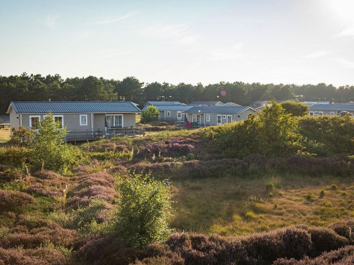 Parc de vacances Den Hoorn Enregistrement extérieur 1