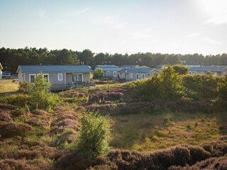 Ferienpark Den Hoorn Außenaufnahme 2