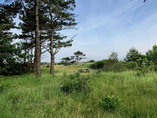 Holiday park Den Hoorn  24