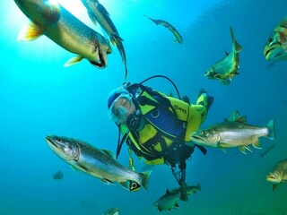 Vakantiepark Vordernberg  15