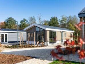 Holiday park Modern chalet 2km from De Efteling - Udenhout - image1