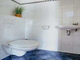 Vakantiepark Uitgeest Kenmerken 31