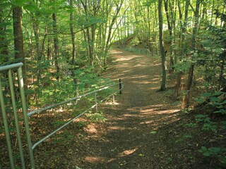 Appartement Herzberg am Harz Environnement 14