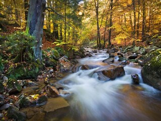 Appartement Herzberg am Harz Omgeving 15