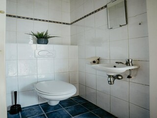 Vakantiepark Uitgeest Kenmerken 8