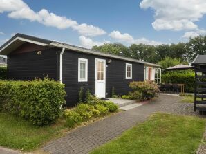 Holiday park Comfortable chalet in Rijssen with garden - Holten - image1