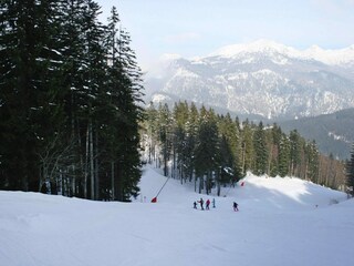Casa de vacaciones Altaussee  28