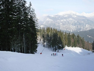 Vakantiehuis Altaussee  28