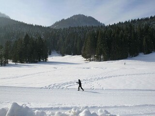 Holiday house Altaussee  28
