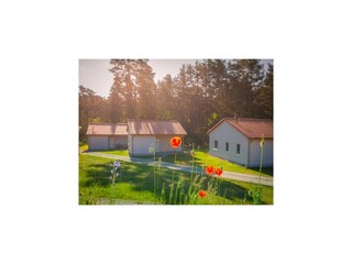 Ferienpark Reichenwalde Außenaufnahme 4
