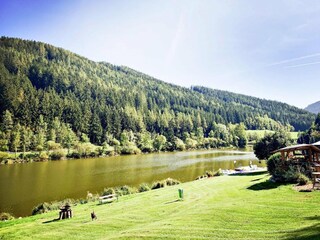 Parco vacanze Hafning bei Trofaiach  19