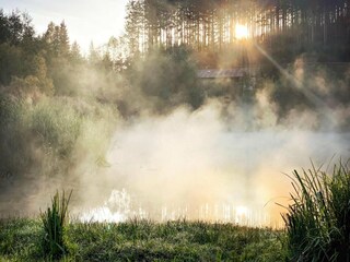 Parc de vacances Hafning bei Trofaiach Environnement 23