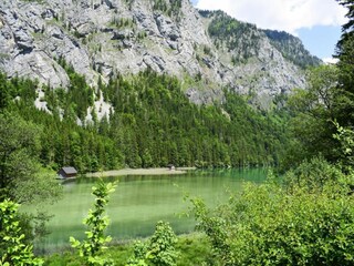 Parco vacanze Hafning bei Trofaiach Ambiente 25
