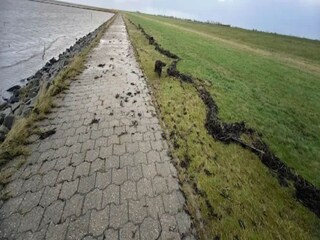 Appartement Dornumersiel Environnement 17