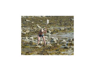 Vakantiehuis Plougasnou Omgeving 23