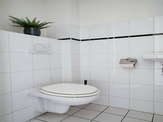 Vakantiepark Uitgeest Kenmerken 23