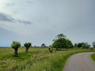 Vakantiepark Uitgeest Omgeving 26