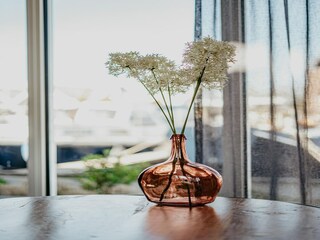 Parc de vacances Uitgeest  40