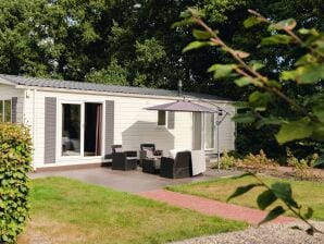 Holiday park Comfortable chalet on the edge of the forest - Holten - image1