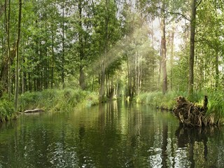 Parc de vacances Lübben Environnement 9