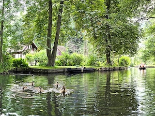 Ferienpark Lübben Umgebung 38