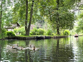 Parc de vacances Lübben Environnement 14