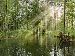 Ferienpark Lübben Umgebung 30
