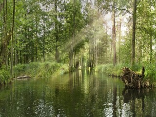 Parc de vacances Lübben Environnement 29