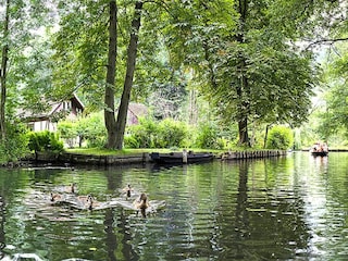 Ferienpark Lübben Umgebung 28