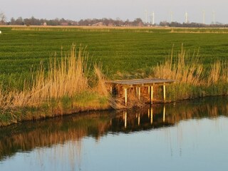 Holiday house Westerbur Environment 23
