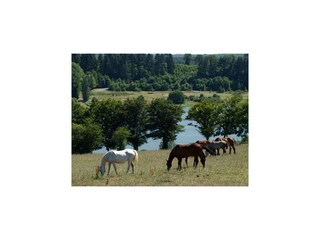Parc de vacances Eppe-Sauvage Environnement 29